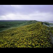 Danmarks vildeste fredninger