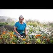 Rundvisninger og særarrangementer